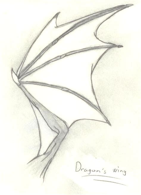 Dragon Wing Drawing at GetDrawings | Free download