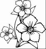Small Flower Coloring Pages At GetColoringscom  Free Printable sketch template