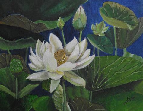 White Lotus Painting by Kim Selig | Fine Art America