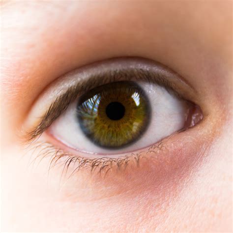 Free Images : open, green, brown, eyebrow, mouth, close up, human body, face, nose, iris, eye ...