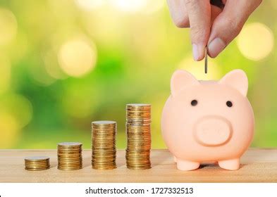 Piggy Bank Gold Color Stack Money Stock Photo 404908750 | Shutterstock