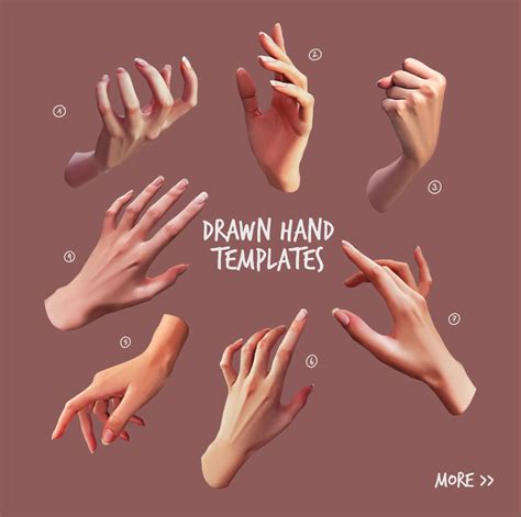 7 Drawn Hand Templates for Procreate and Photoshop | Hand reference, Hand drawing reference ...