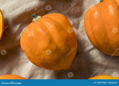 Raw Organic Golden Acorn Squash Stock Photo - Image of green, nature: 128967986