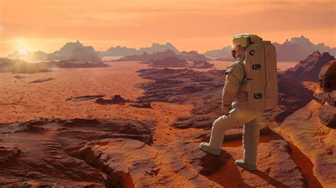 Humans Could Land on Mars in 5 to 10 Years, if Elon Musk Has His Way - Newsweek
