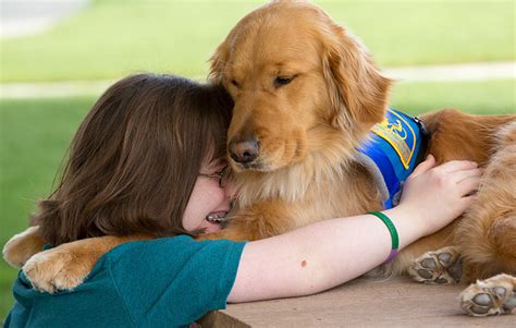 The Face of Happiness: Rescue Dogs Going Home To Their New Families | Wanderoam | Page 28