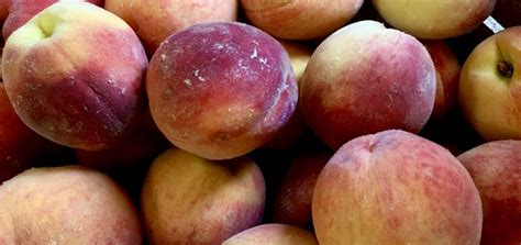Now Taking Orders for Bulk Freestone Peaches! | Farmers & Artisans