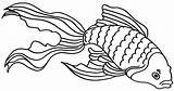 Goldfish Coloring Pages  Free Printable For Kids sketch template