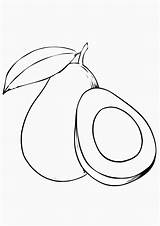 Coloring Pages  Printable Avocado For Kids sketch template