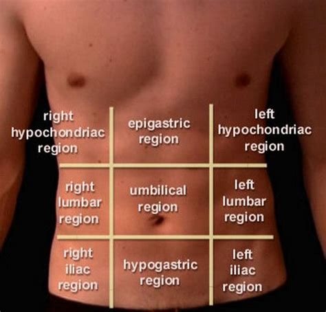 Right, Left and Central Abdominal Pain - (updated in 2022) | Abdominal pain, Abdominal, Human ...