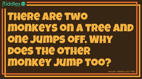 Two Monkeys Sitting On A Tree... Riddle And Answer - Riddles.com