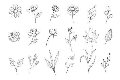 Flowers Sketch Collection with Line Art Style By Aghadhia Designs | TheHungryJPEG