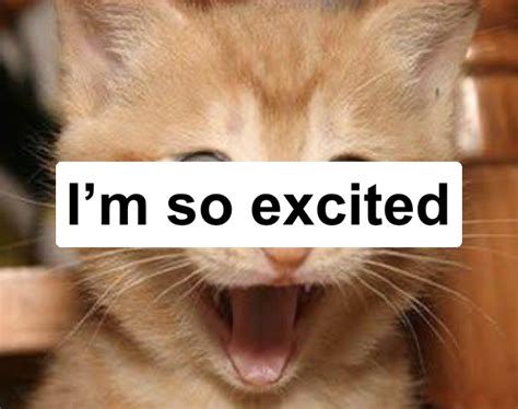 Excited Cat Meme Generator - Piñata Farms - The best meme generator and meme maker for video ...