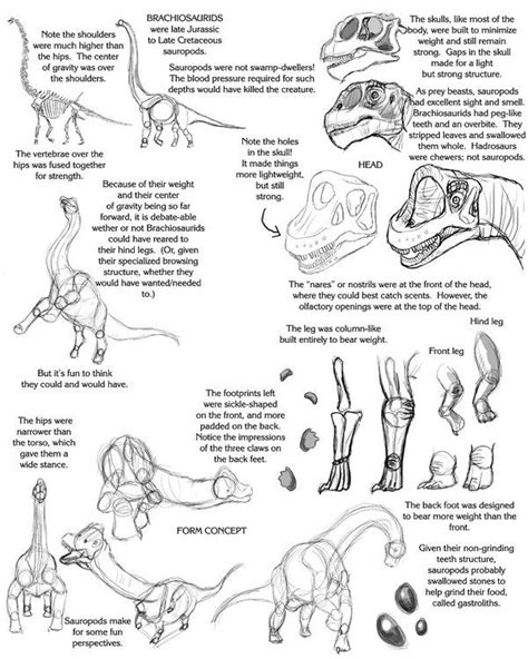 Sauropod Tutorial by Droemar on DeviantArt | Dinosaur drawing, Dino ...