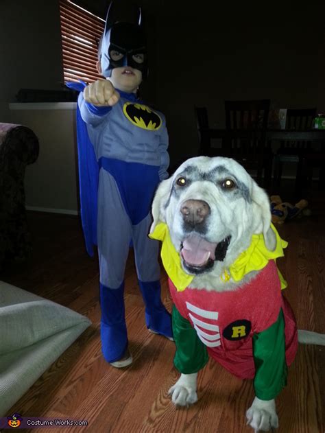 Batman and Robin Halloween Costume | Coolest Cosplay Costumes