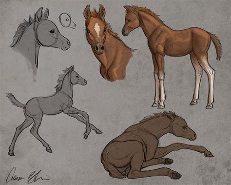 How to Draw Horses Course - The Art of Aaron Blaise