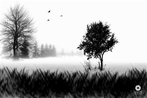 Black and White Fine Art Scene | Photoshop Tutorial | Photo Manipulation - CiprianFOTO ...