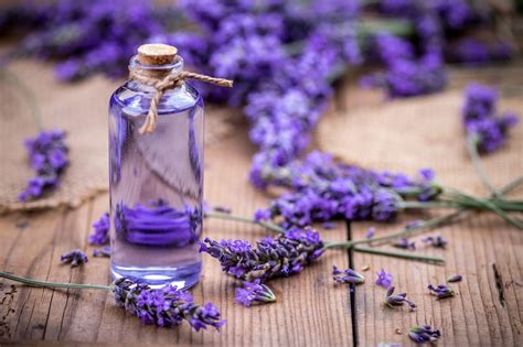 5 Best Essential Oils for Acne You Need to Know | Punica Makeup