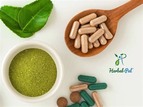 How natural medicines are prepared? by Herbal Pal on Dribbble