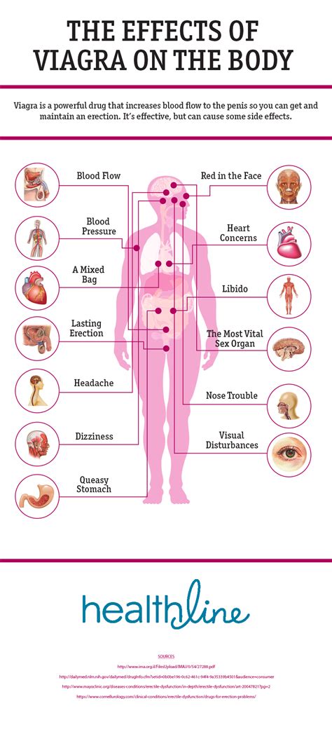 The Effects of Viagra on the Body