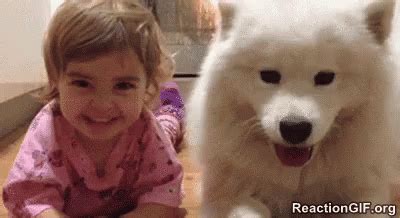 Baby Laugh GIF - Baby Laugh Laughing - Discover & Share GIFs