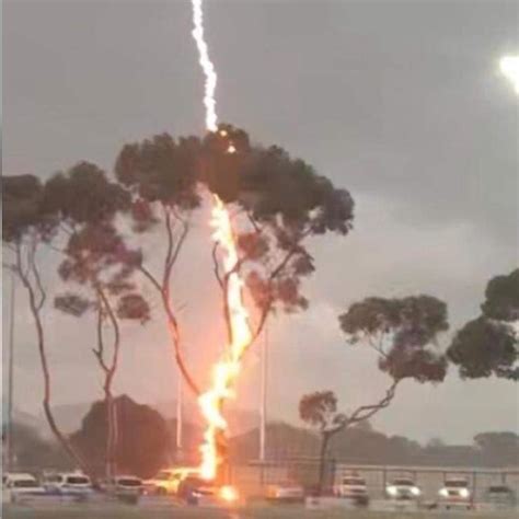 Moment lighting sets tree on fire during footy match in Victoria | news.com.au — Australia’s ...