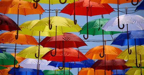 Umbrella Lot · Free Stock Photo