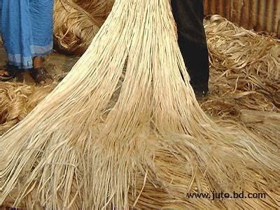 A typical view of bagasse fibre [70] Fig 18: A typical view of jute ...