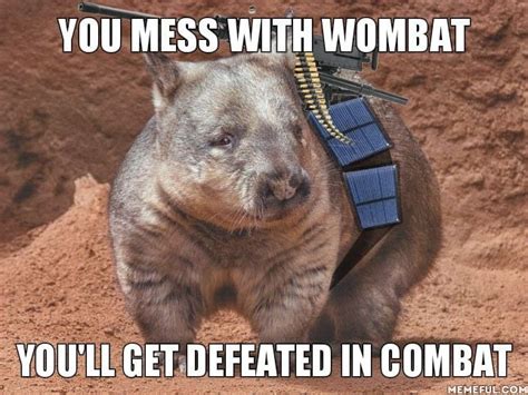 Combat Wombat, got no more Rhymes on dat - 9GAG