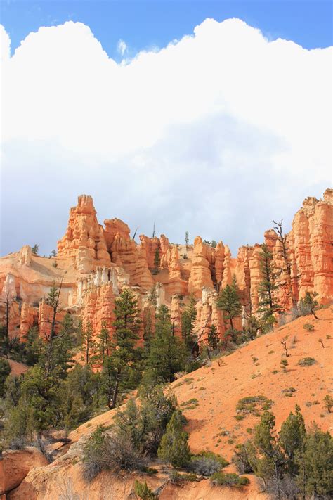 Famous Orange Rocks by the Clouds - Bryce Canyon, UT | Bryce canyon national park, Bryce canyon ...