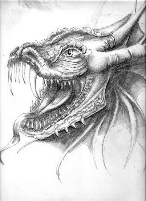 Scary Dragon Drawing at PaintingValley.com | Explore collection of Scary Dragon Drawing