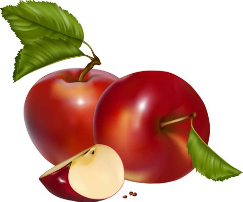 Download Apple Cliparts Png Fall - Red Apples Clip Art, Transparent Png ...