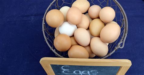 Each type of egg production system has pros and cons