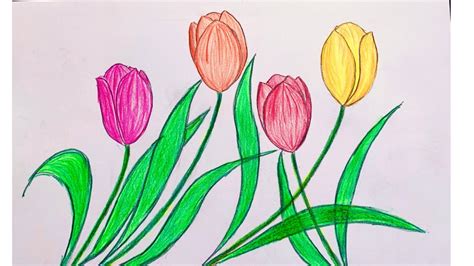 Vẽ hoa tulip đẹp và đơn giản | Cách vẽ hoa tulip | How to draw easy beautiful tulip flower - YouTube