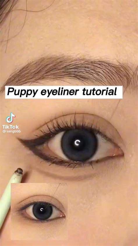 Puppy liner tut | Puppy eyes makeup, Cute eye makeup, Liquid eyeliner ...