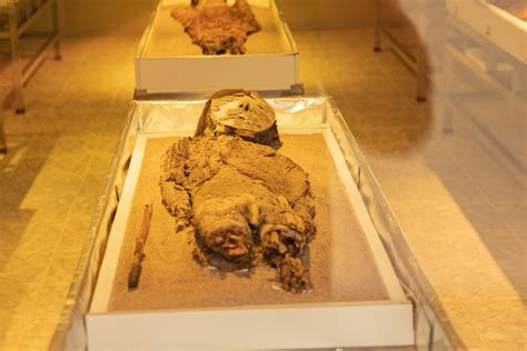 Why are the World’s Oldest Mummies Deteriorating, and Who Made Them? | Discover Magazine