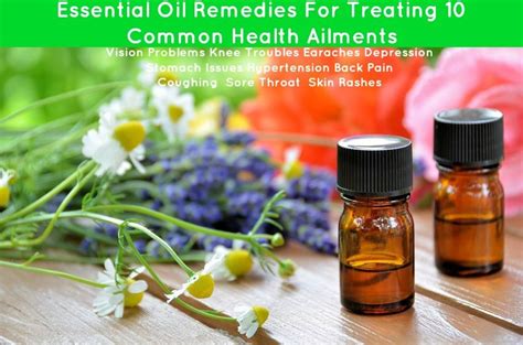 Essential Oil Remedies For Treating 10 Common Health Ailments | Óleos essenciais para dor de ...