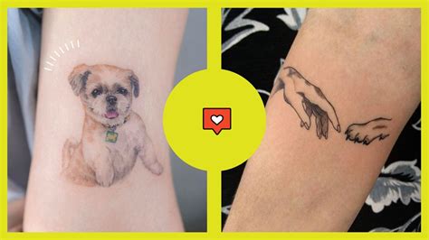 What Is A Tattoo On A Dog