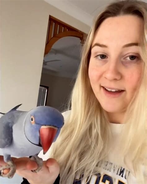 My supportive talking parrot | This girl's talking parrot is so supportive 🦜😅 | By LADbible
