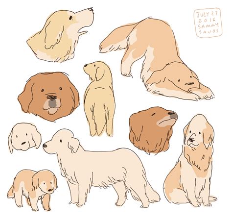 Cute Golden Retriever Drawing