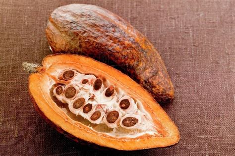 Cacao pod, halved, on brown background - Stock Photo - Dissolve