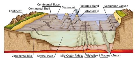 What Is An Abyssal Plain? - WorldAtlas