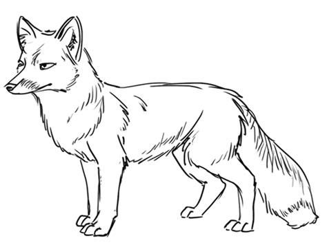 Download High Quality fox clipart black and white Transparent PNG ...