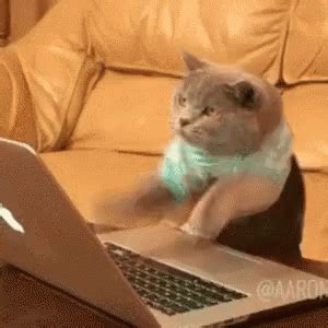 Cat Computer GIF - Cat Computer Typing - Discover & Share GIFs | Cat typing gif, Cat work, Cat gif