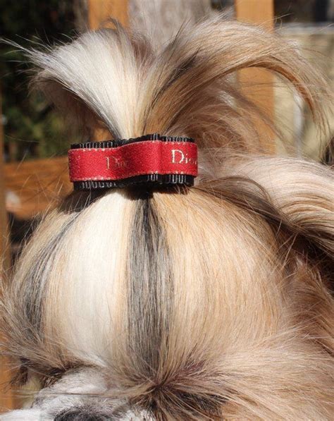 Dog Hair Bow shih tzu yorkie maltese dog show bow small pet puppy hair bow | Dog hair bows, Dog ...