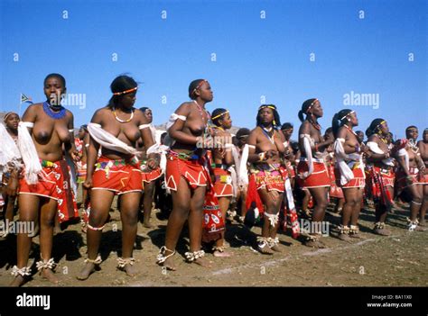 reed dance ceremonial participant kwa zulu natal south africa Stock ...