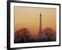 'Eiffel Tower, Paris, France' Photographic Print - David Barnes | Art.com