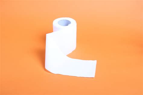 Is Toilet Paper Biodegradable? Everything You Need To Know | The Good ...