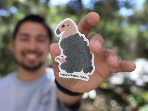 Nesting Condor Stickers