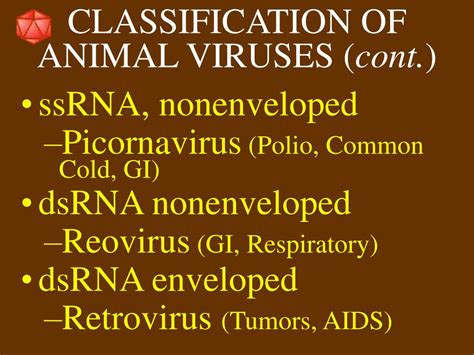 PPT - Viruses PowerPoint Presentation, free download - ID:3499367