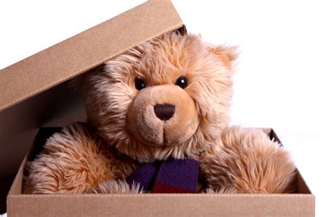 Free Photo | Cute Teddy Bear in the gift box